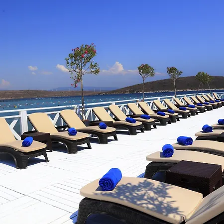 Design Seya Alacati