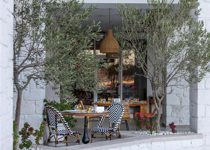 Design Seya Alaçatı