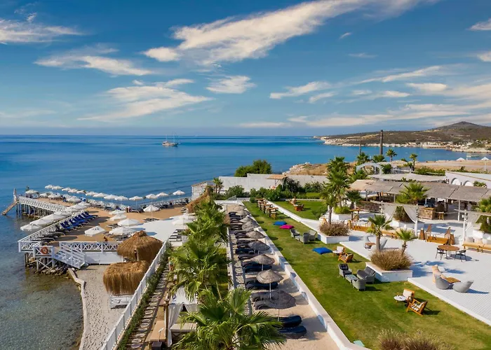 Design Seya Alaçatı